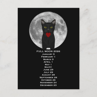 Vollmond-Katze 2026 Postkarte