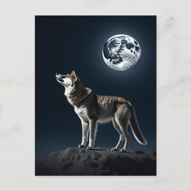 Vollmond leuchtet auf der Wolf-Blank Postkarte (Vorderseite)