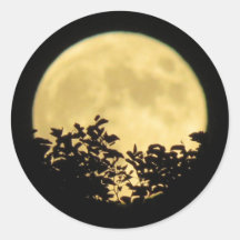 Vollmond mit Baumzweigen vor