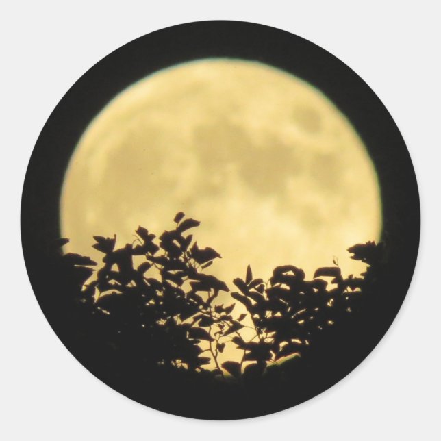 Vollmond mit Baumzweigen vor Runder Aufkleber (Vorderseite)