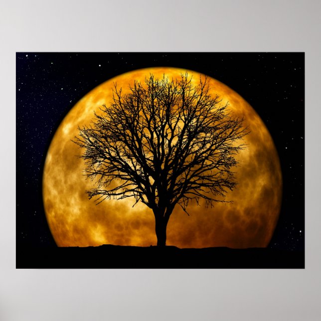 Vollmond Mitternachtposter Poster (Vorne)
