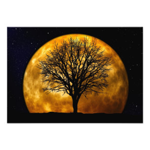Vollmond-MitternachtsFoto-Druck Fotodruck