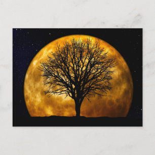 Vollmond Mitternachtspostkarte Postkarte