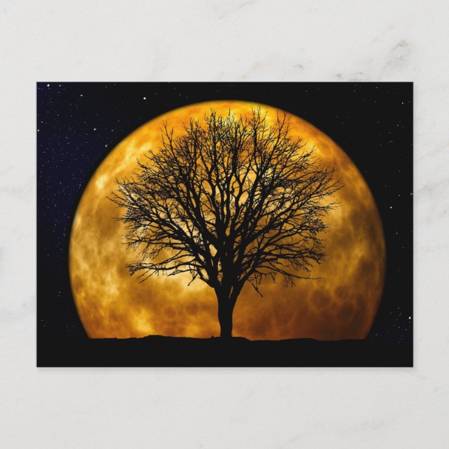 Vollmond Mitternachtspostkarte Postkarte (Vorderseite)