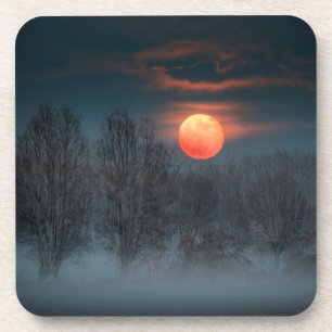 Vollmond   November in Scalenghe, Italien Getränkeuntersetzer
