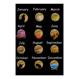Vollmond Poster