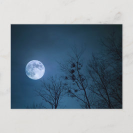 Vollmond Postkarte