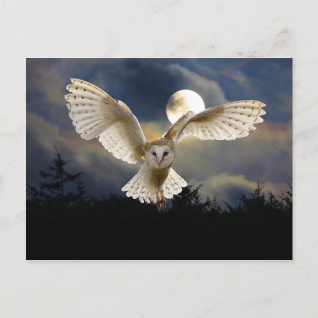 "Vollmond" Postkarte (Vorderseite)