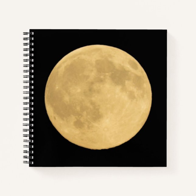 Vollmond | Seattle, Washington Notizbuch (Vorderseite)