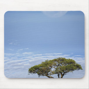 Vollmond über Akazienbäumen, Masai Mara, Mousepad