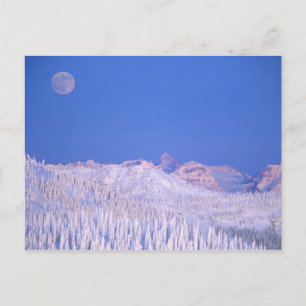 Vollmond über dem Glacier Nationalpark Postkarte