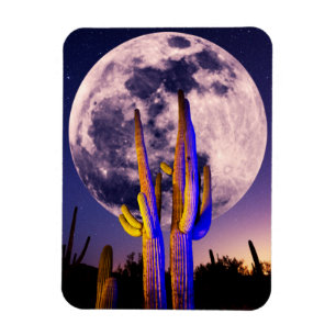 Vollmond über Saguaro-Kakteen Magnet