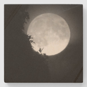 Vollmond und Baum Steinuntersetzer
