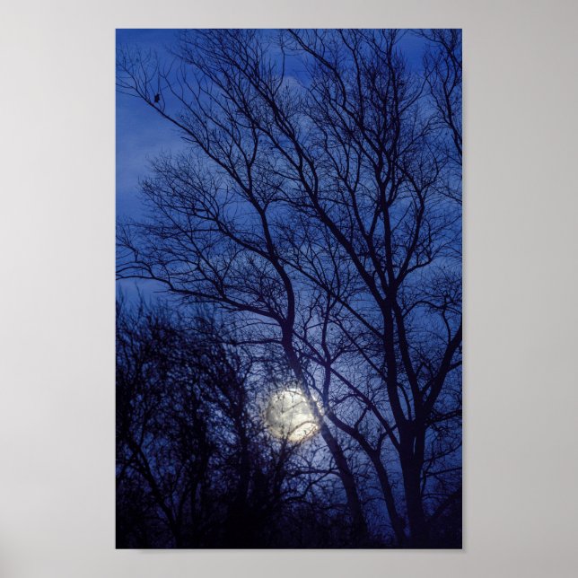 Vollmond und Mondlicht, die durch Bäume strahlen Poster (Vorne)