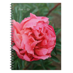 Vollrosa Peony Notizblock