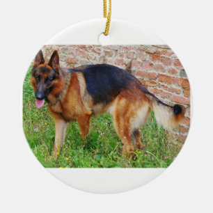 Vollschwarz und rot keramikornament