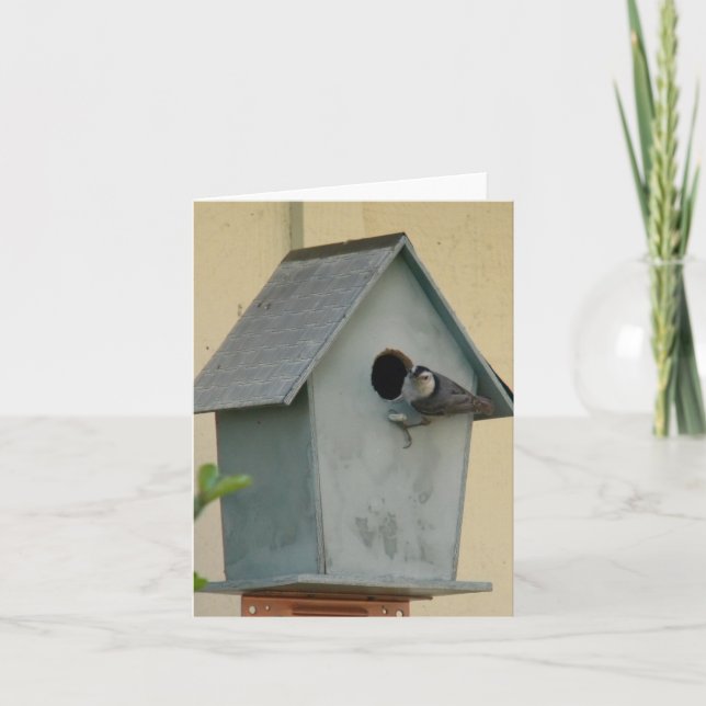 VOLLSTÄNDIGE BIRDHOUSE BLANK NOTECARD KARTE (Vorderseite)