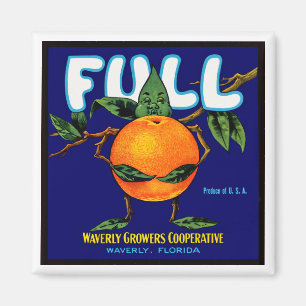 Vollständige Orangenmarke Etikett Magnet