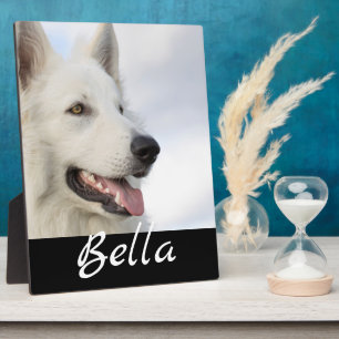 Vollständiges Foto Haustier Hund Individuelle Name Fotoplatte