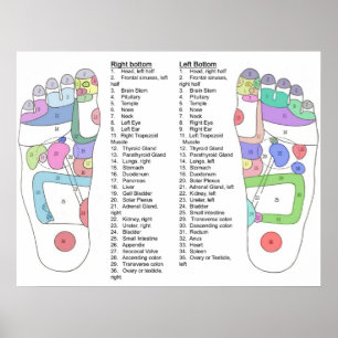 Vollständiges Fußakkusdruckdiagramm Poster