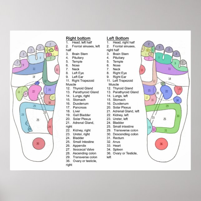 Vollständiges Fußakkusdruckdiagramm Poster (Vorne)