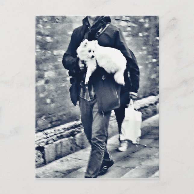 vollwertiger Output_c78 Schwarz-Weiß-Spitz Postkarte (Vorderseite)