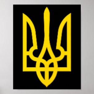 Volodymyr Selenskyj Präsident der Ukraine Militär Poster
