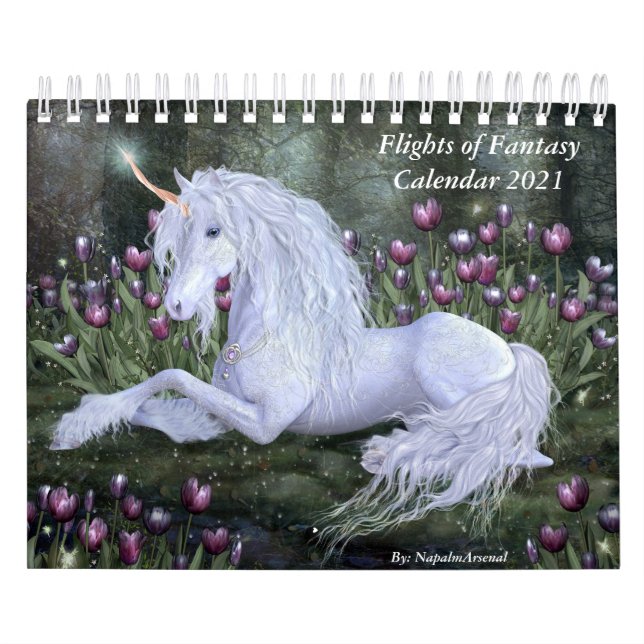 Vols du calendrier Imaginaire 2020 (Protection)