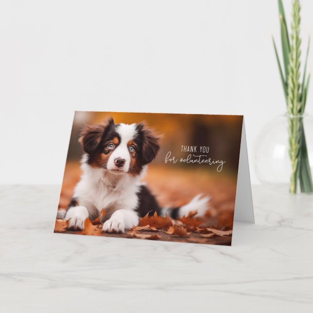 Volunteer Australian Shepherd Puppy Dankeskarte (Vorderseite)