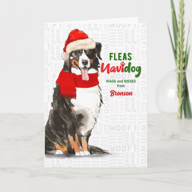 vom Hund Bernese Mountain Dog Weihnachten (Vorderseite)