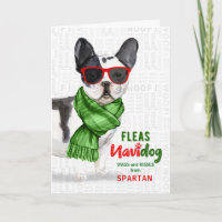 Vom Hund Boston Terrier Fleas NaviDOG