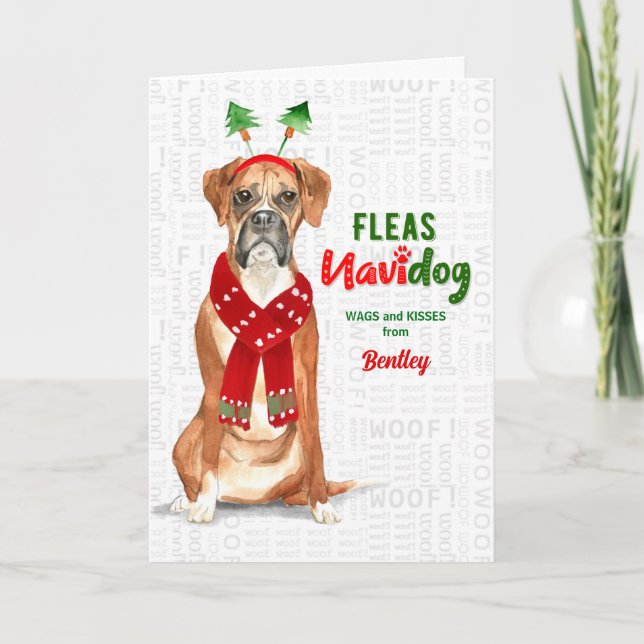 vom Hund Funny Boxer Weihnachten (Vorderseite)