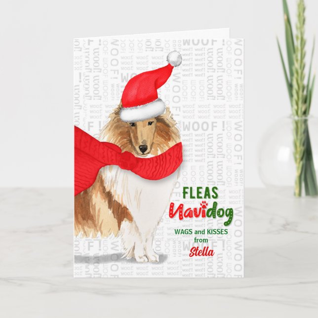 vom Hund Sweet Rough Collie Weihnachten (Vorderseite)