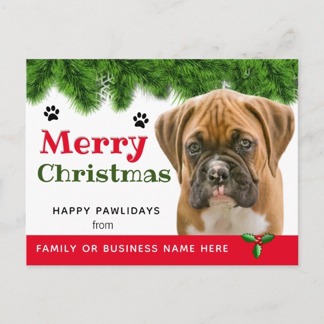Vom Hund Weihnachten- Hundeschlitten Postkarte (Vorderseite)