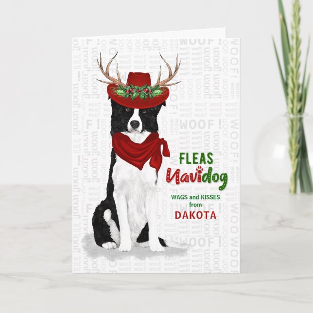 vom Hund Western Border Collie Weihnachten (Vorderseite)