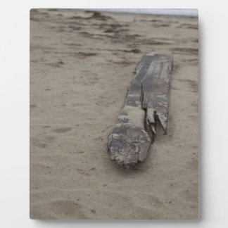 Vom Meer Fotoplatte