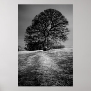 Vom Wind geformt Poster