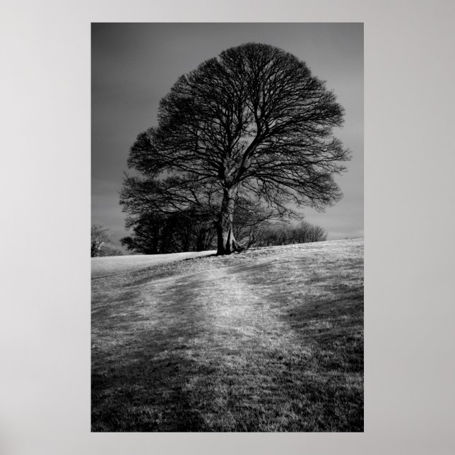 Vom Wind geformt Poster (Vorne)