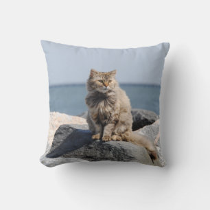 Vom Wind zerzauste Katze am Meer Süßes Foto Kissen