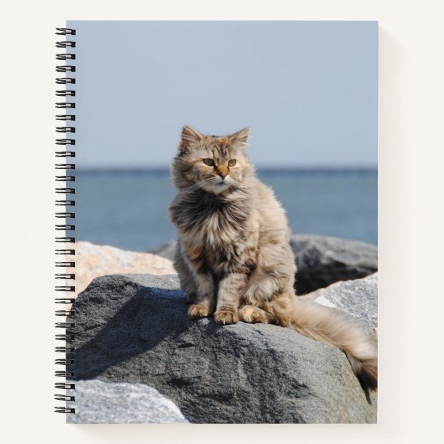 Vom Wind zerzauste Katze am Meer Süßes Foto Notizbuch (Vorderseite)