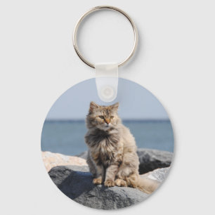 Vom Wind zerzauste Katze am Meer Süßes Foto Schlüsselanhänger