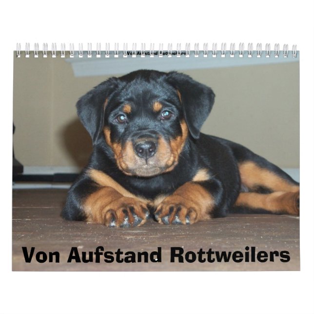 Von Aufstand Rottweilers Kalender (Titelbild)