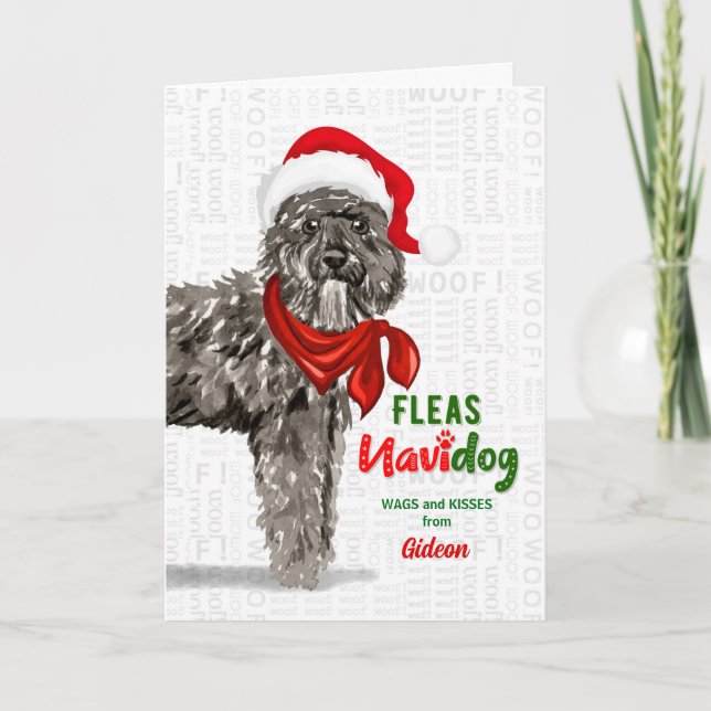 von Bouvier des Flandres Dog Weihnachten (Vorderseite)