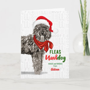 von Bouvier des Flandres Dog Weihnachten