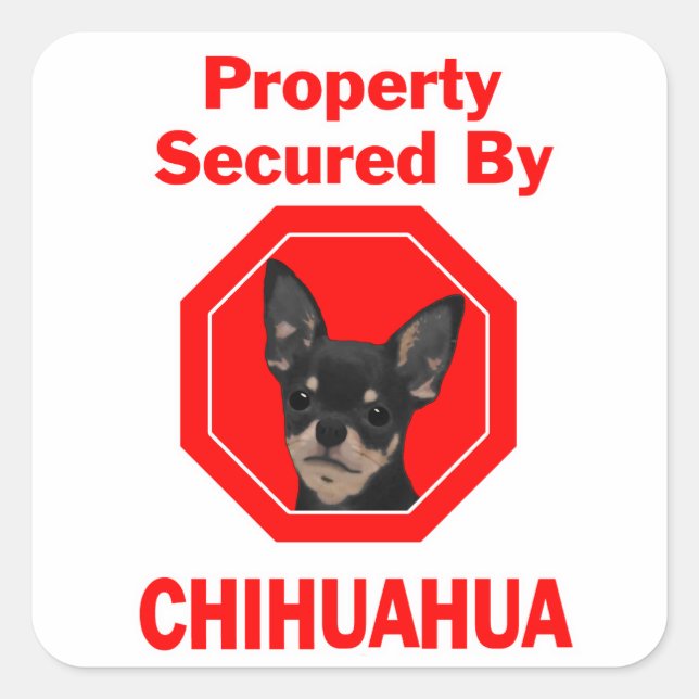 Von Chihuahua besichertes Eigentum Quadratischer Aufkleber (Vorderseite)