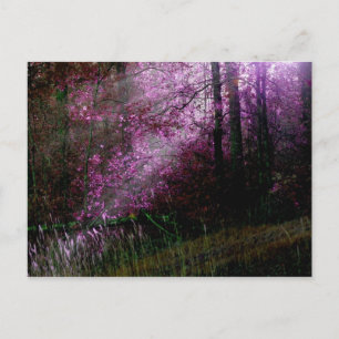 Von der Dunkelheit-Postkarte Postkarte