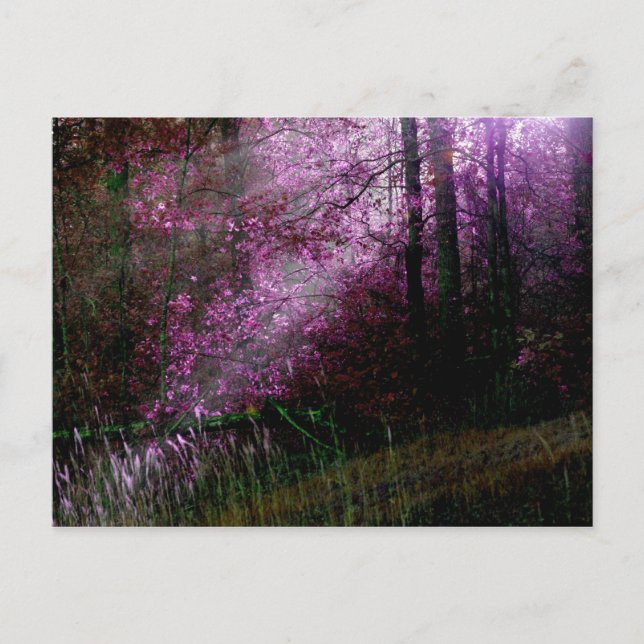 Von der Dunkelheit-Postkarte Postkarte (Vorderseite)