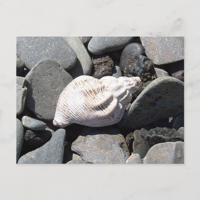 Von der Postkarte am Meer (Vorderseite)