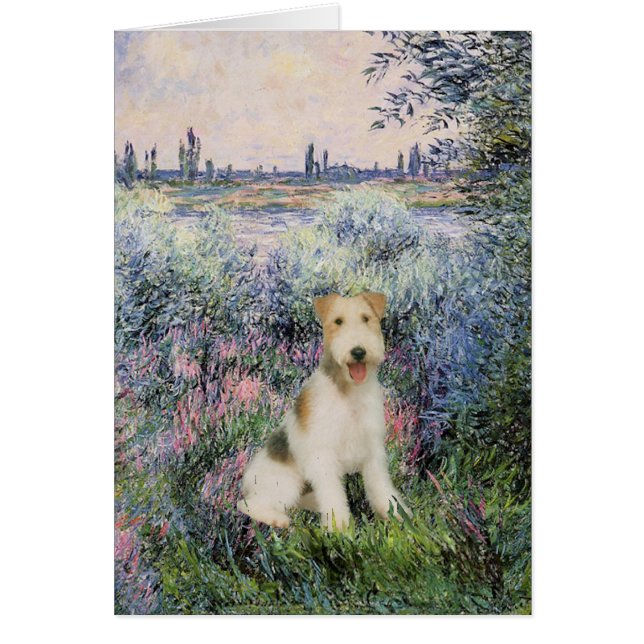 Von der Seind - Wire Fox Terrier (M) (Vorne)