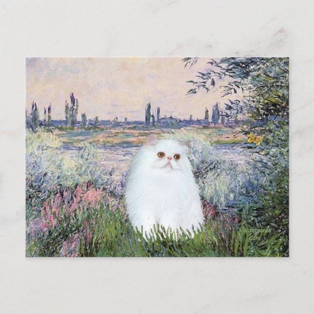 Von der Seine - weißes persisches Kätzchen #49 Postkarte (Vorderseite)